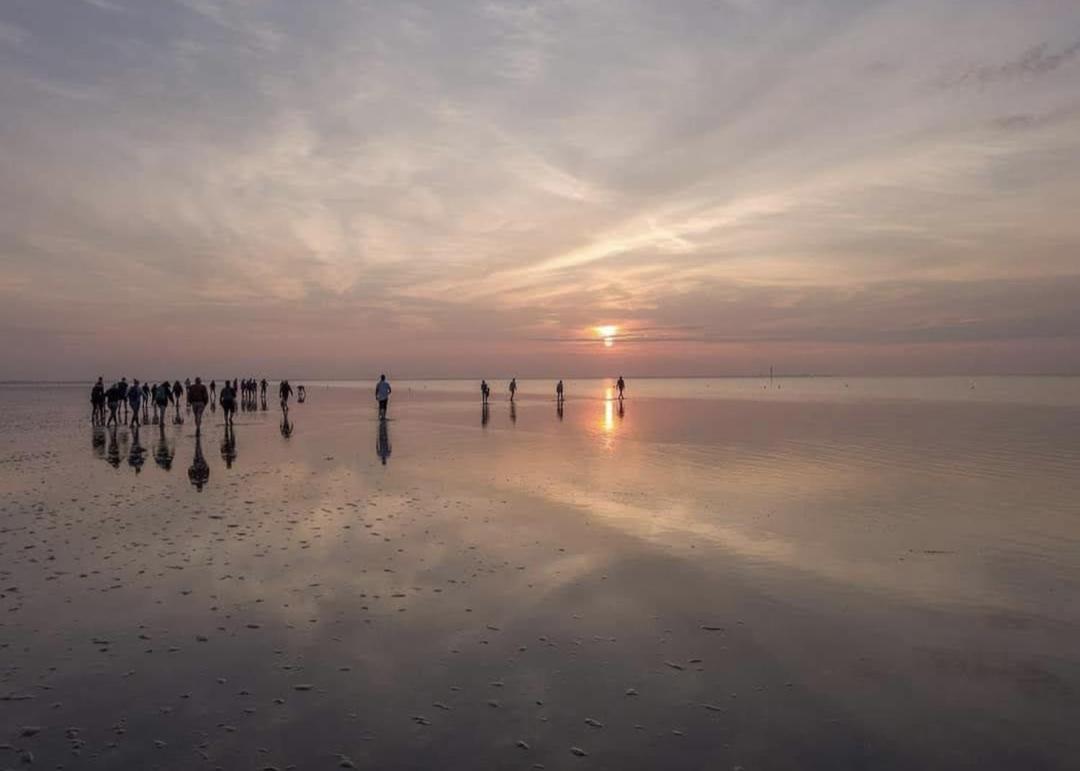 Chalet Wiron Aan Het Wad. Westerland Экстерьер фото